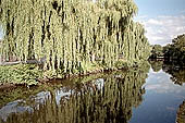 Norwich - Riverside Walk